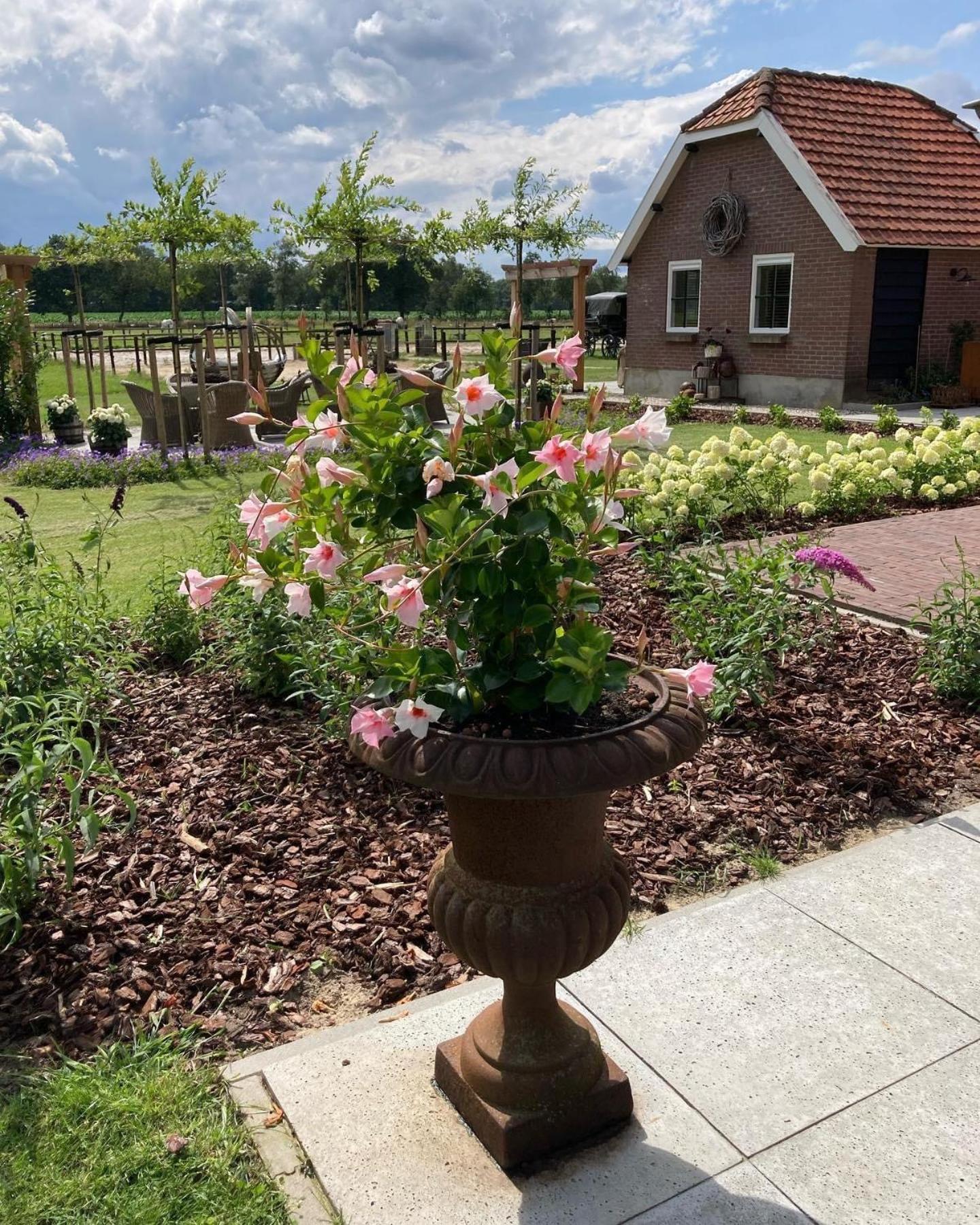 Bed & Breakfast Hoeve Happiness - Ontbijt Inbegrepen - Wellness Aanwezig Вортуізен Екстер'єр фото