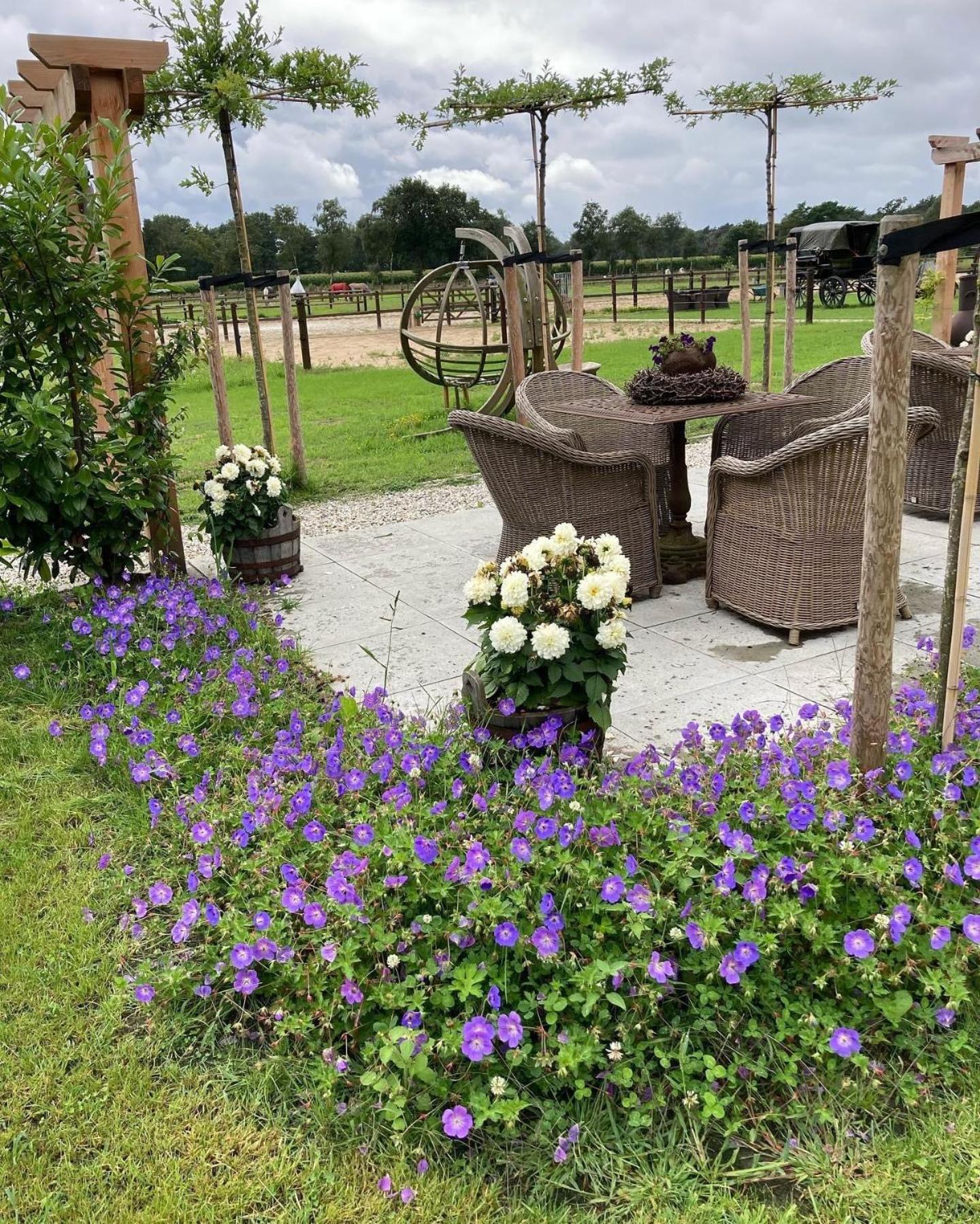 Bed & Breakfast Hoeve Happiness - Ontbijt Inbegrepen - Wellness Aanwezig Вортуізен Екстер'єр фото