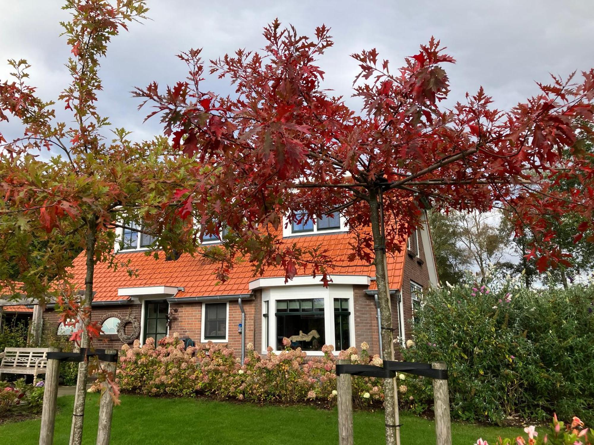 Bed & Breakfast Hoeve Happiness - Ontbijt Inbegrepen - Wellness Aanwezig Вортуізен Екстер'єр фото